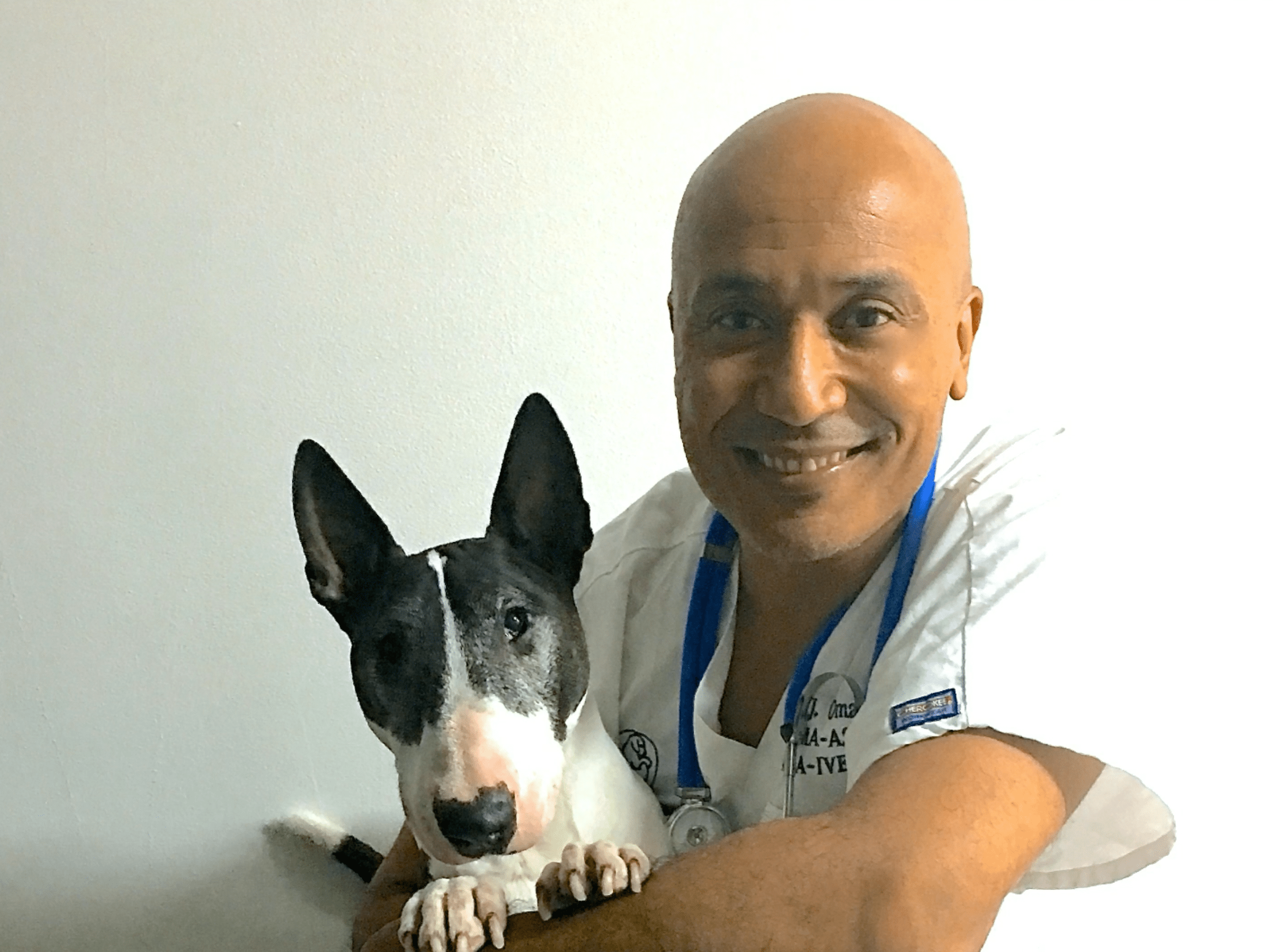  Cabinet Vétérinaire International,Nyon Veterinarian, veterinarian Nyon