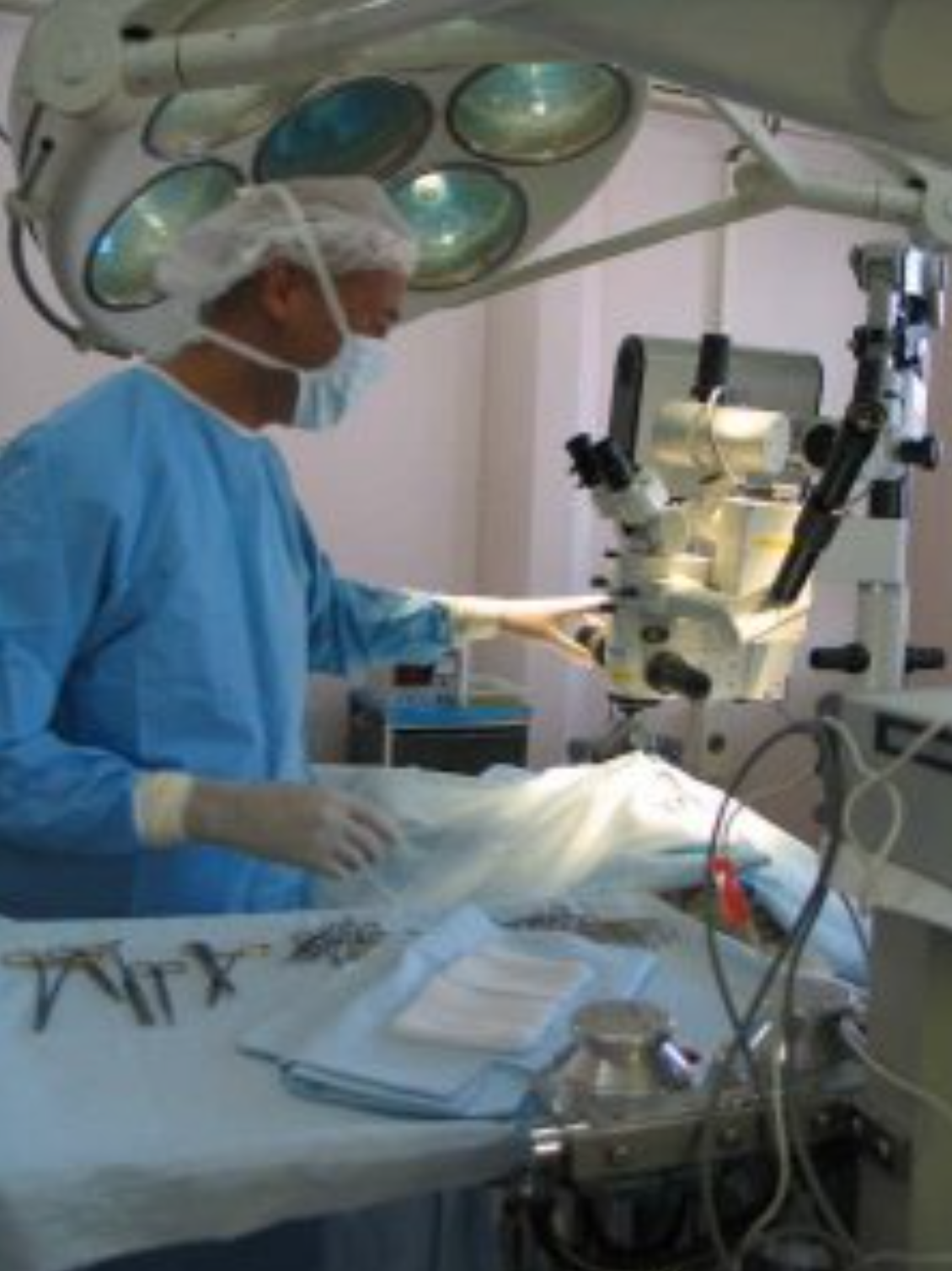  Cabinet Vétérinaire International,Nyon Veterinarian, veterinarian Nyon