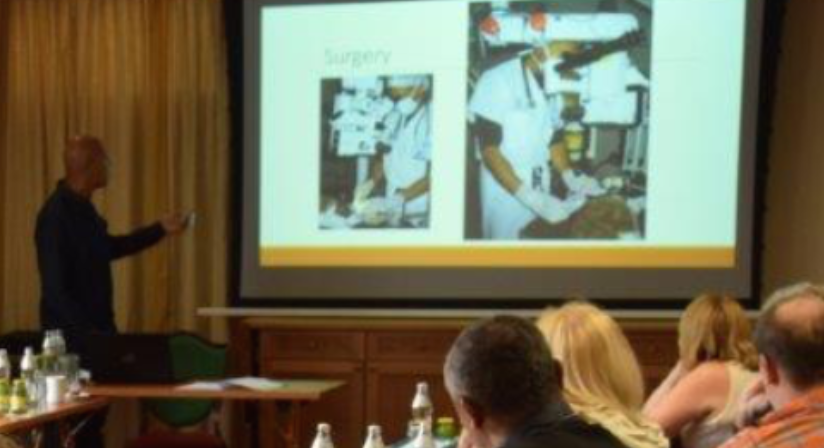  Cabinet Vétérinaire International,Nyon Veterinarian, veterinarian Nyon