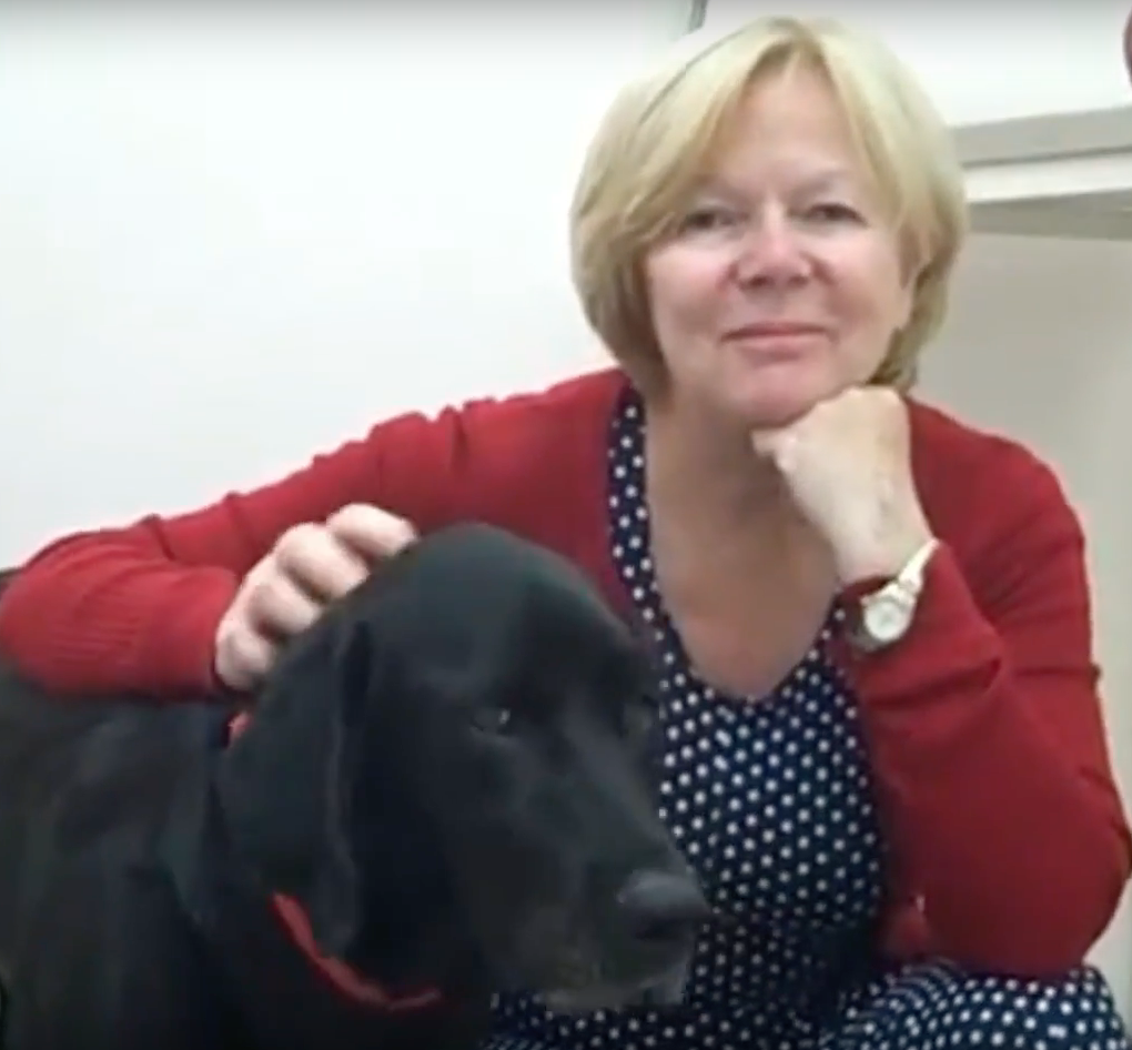  Cabinet Vétérinaire International,Nyon Veterinarian, veterinarian Nyon