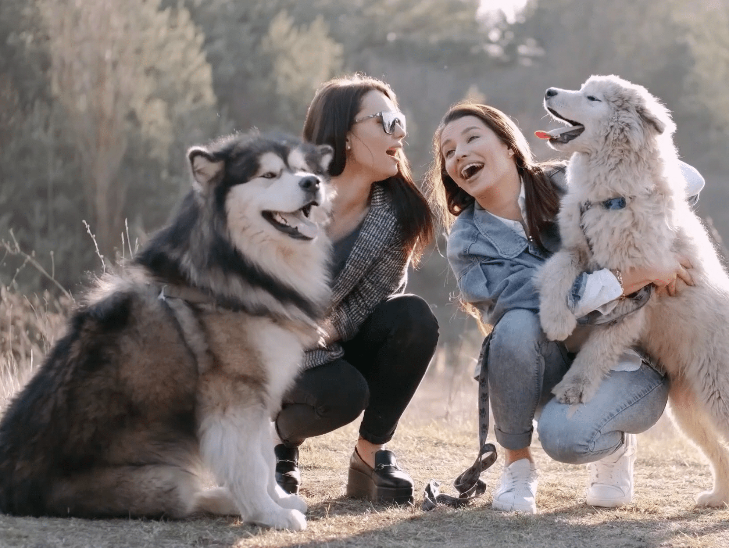  Cabinet Vétérinaire International,Nyon Veterinarian, veterinarian Nyon