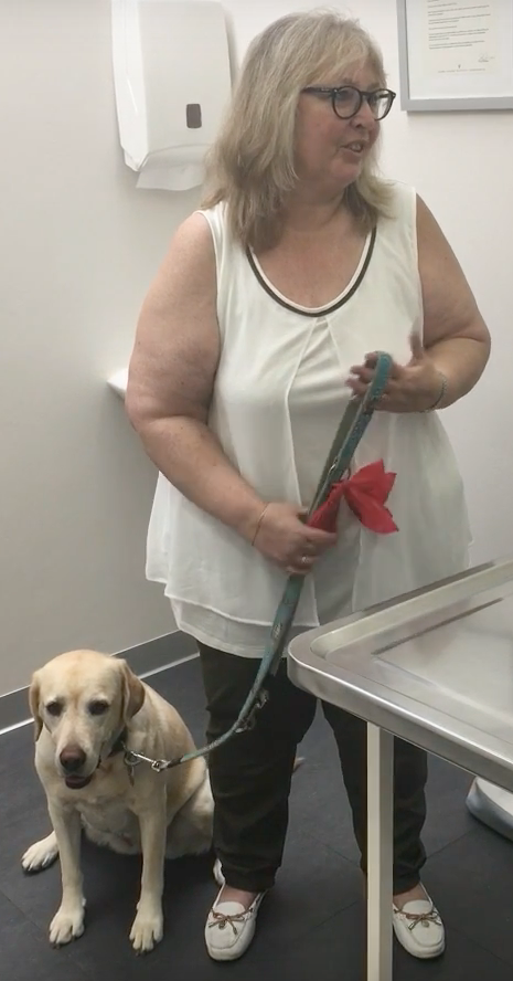  Cabinet Vétérinaire International,Nyon Veterinarian, veterinarian Nyon