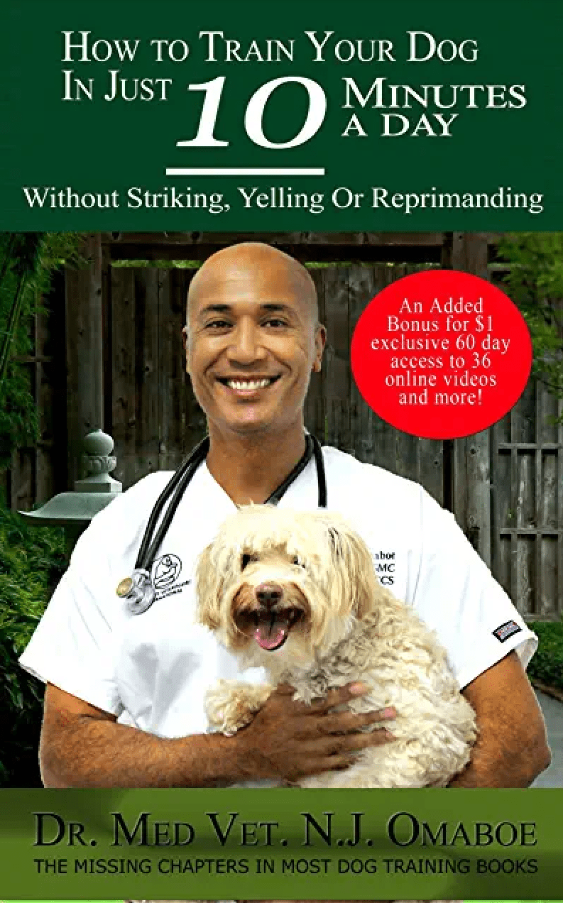  Cabinet Vétérinaire International,Nyon Veterinarian, veterinarian Nyon